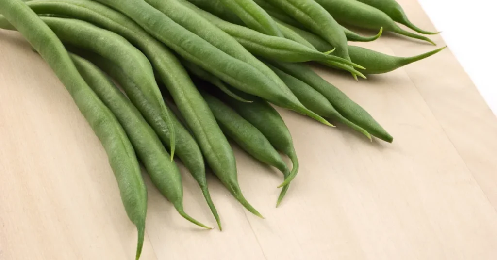 Before You Plant Preparing For Bush Beans