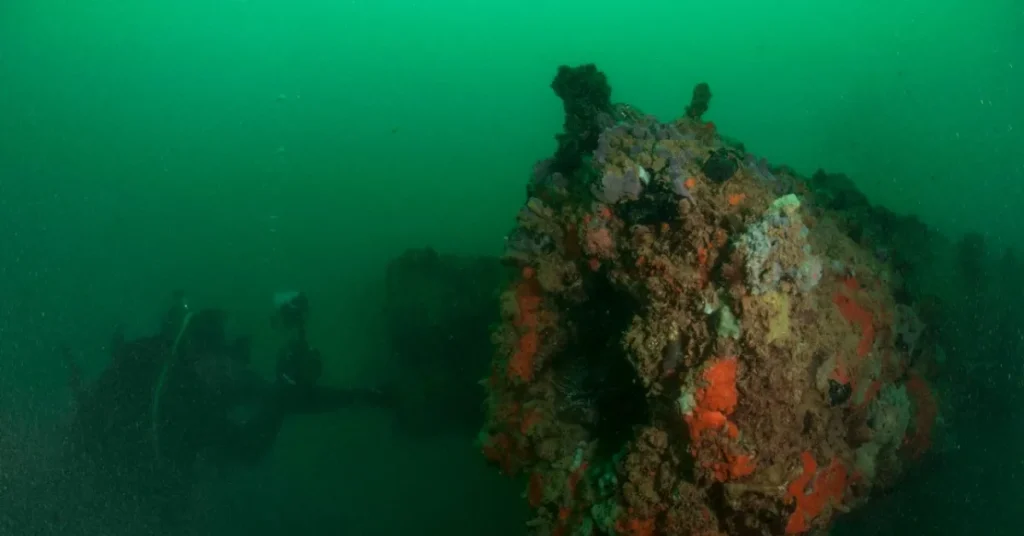 Beneath The Waves The Uss Arizona Today