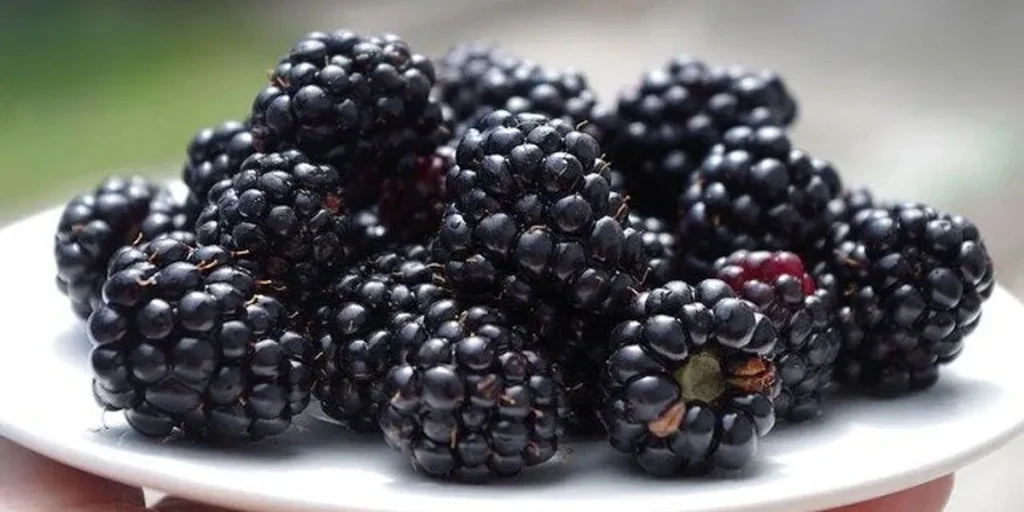 Berry Varieties And Their Weights