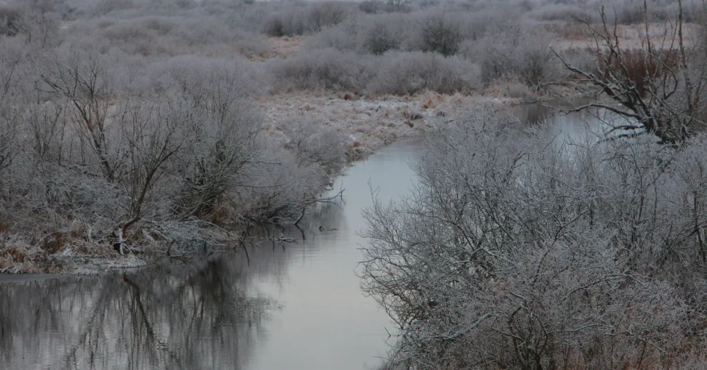 How Deep is Battle Ground Lake: Unveiling Depths