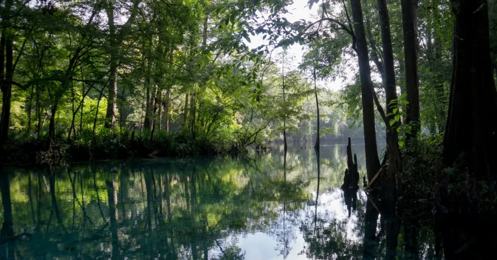 Experiencing Ginnie Springs