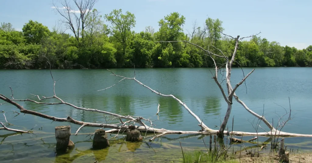 Exploring Eastwood Lake's Underwater Terrain