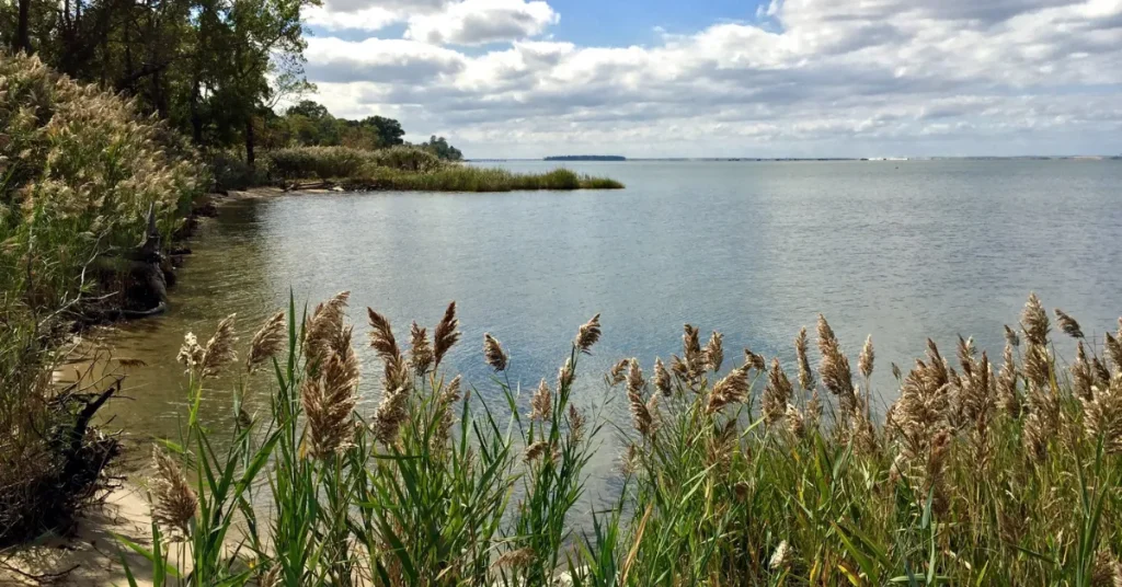 Exploring The Chesapeake Bay