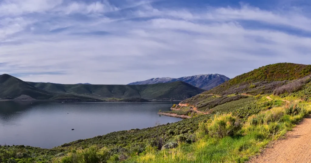 Fostering The Future Of The Reservoir