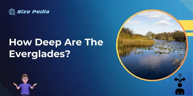 How Deep are the Everglades?