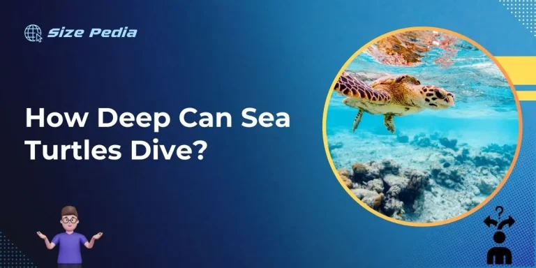 How Deep Can Sea Turtles Dive?