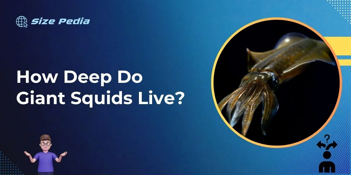 How Deep Do Giant Squids Live?