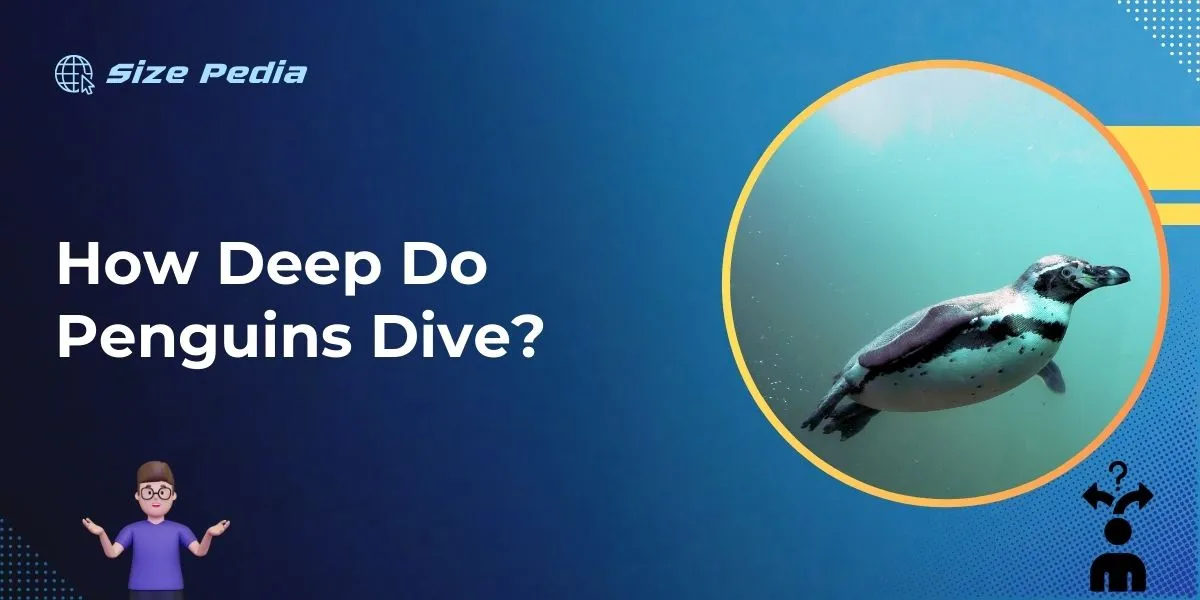 How Deep Do Penguins Dive?