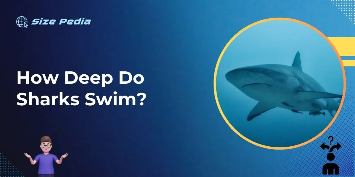 How Deep Do Sharks Swim?