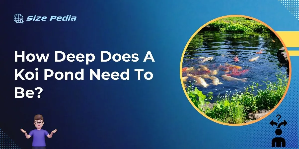 How Deep Does a Koi Pond Need to Be?