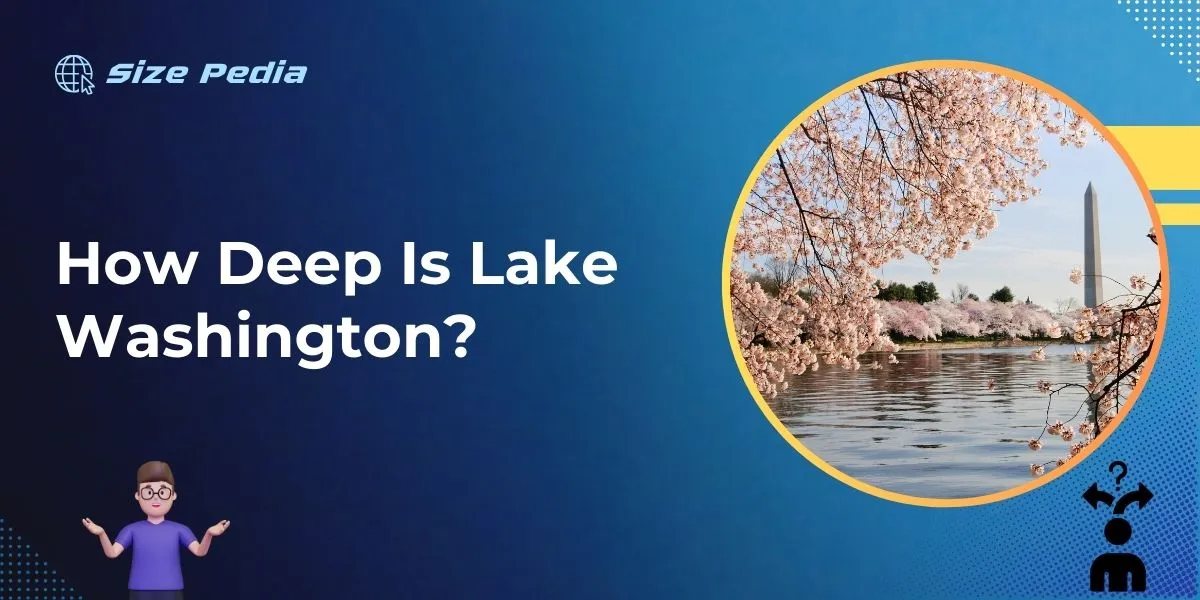 How Deep is Lake Washington?