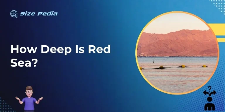 How Deep is Red Sea?