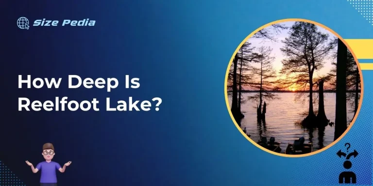 How Deep is Reelfoot Lake?