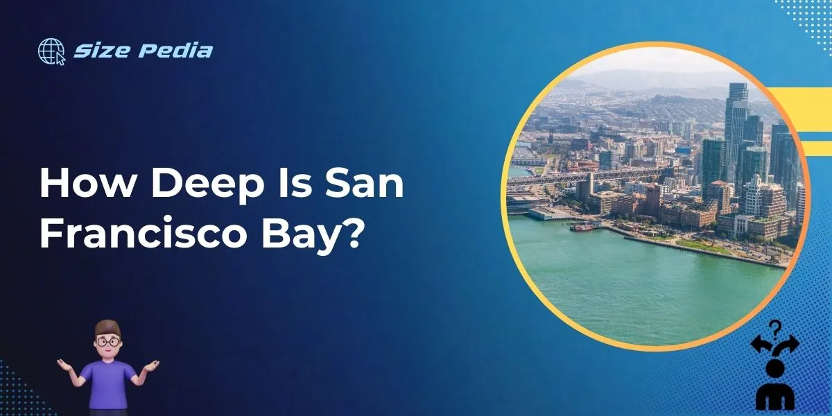 How Deep is San Francisco Bay?