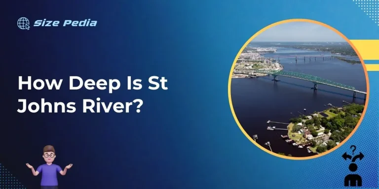 How Deep is St. Johns River: Unveiling the Depths