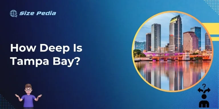 How Deep is Tampa Bay?