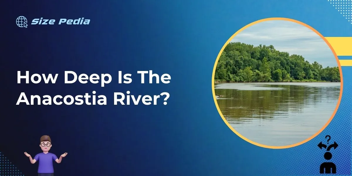 How Deep is the Anacostia River?