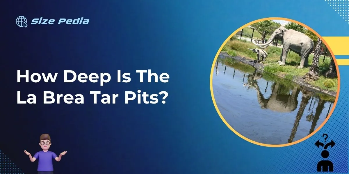 How Deep is the La Brea Tar Pits?