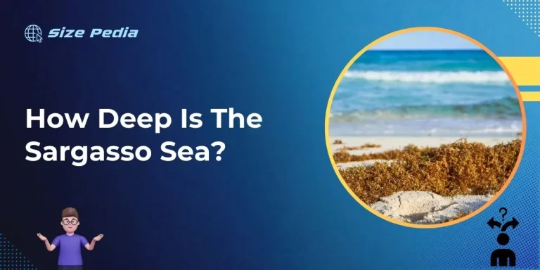 How Deep is the Sargasso Sea?