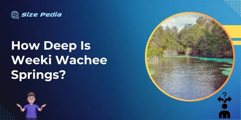 How Deep is Weeki Wachee Springs?