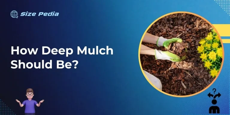 How Deep Mulch Should Be?