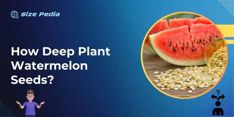 How Deep Plant Watermelon Seeds?