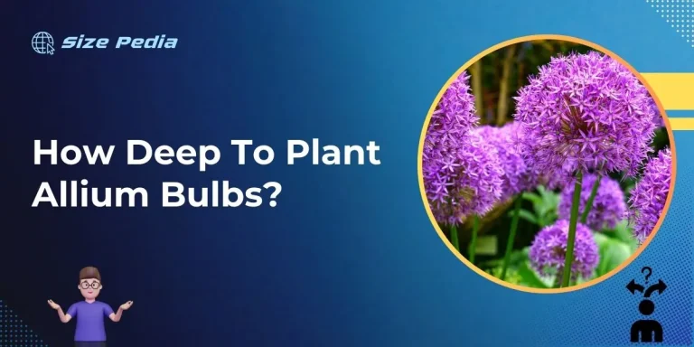 How Deep to Plant Allium Bulbs?