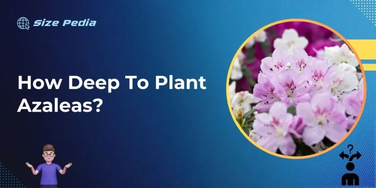 How Deep to Plant Azaleas?