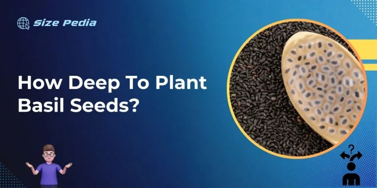 How Deep to Plant Basil Seeds?