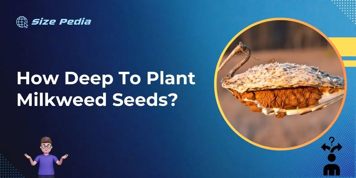 How Deep to Plant Milkweed Seeds?