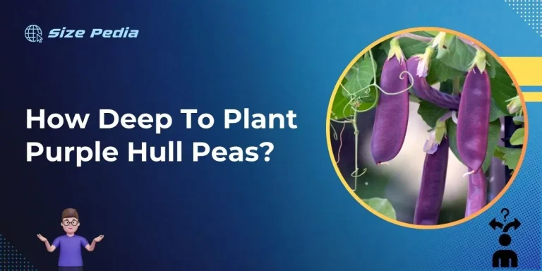 How Deep to Plant Purple Hull Peas?