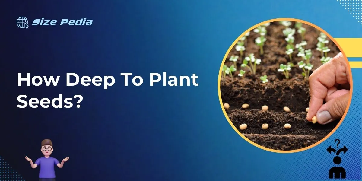 How Deep to Plant Seeds?