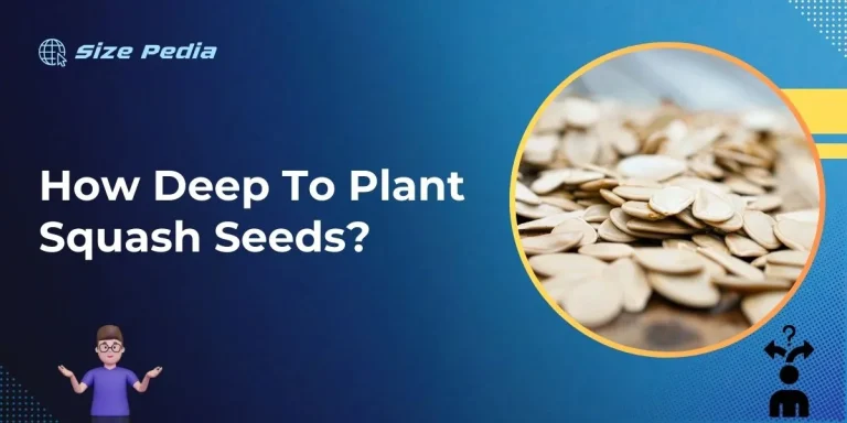 How Deep to Plant Squash Seeds?