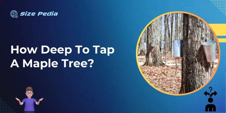 How Deep to Tap a Maple Tree?