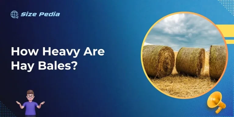 How Heavy are Hay Bales?