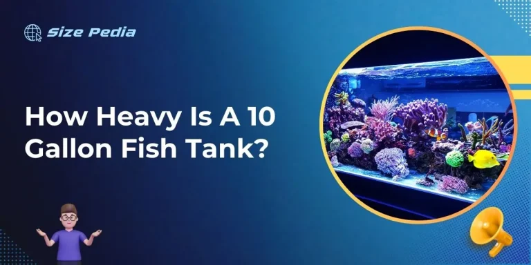 How Heavy is a 10 Gallon Fish Tank?