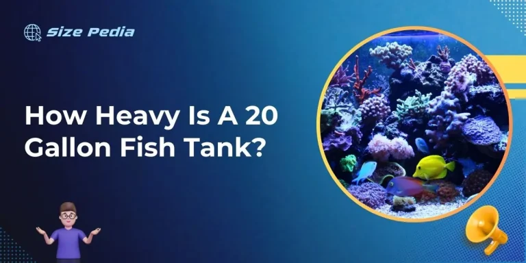 How Heavy is a 20 Gallon Fish Tank?