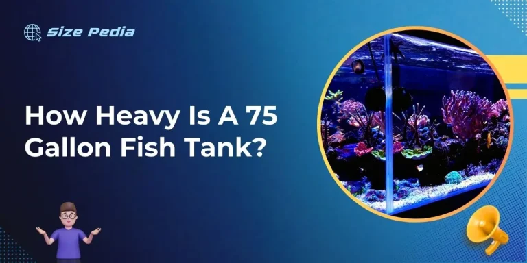 How Heavy is a 75 Gallon Fish Tank?