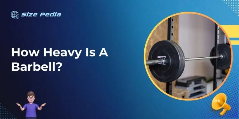 How Heavy is a Barbell?