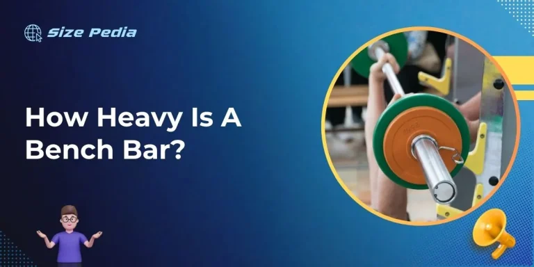 How Heavy is a Bench Bar?