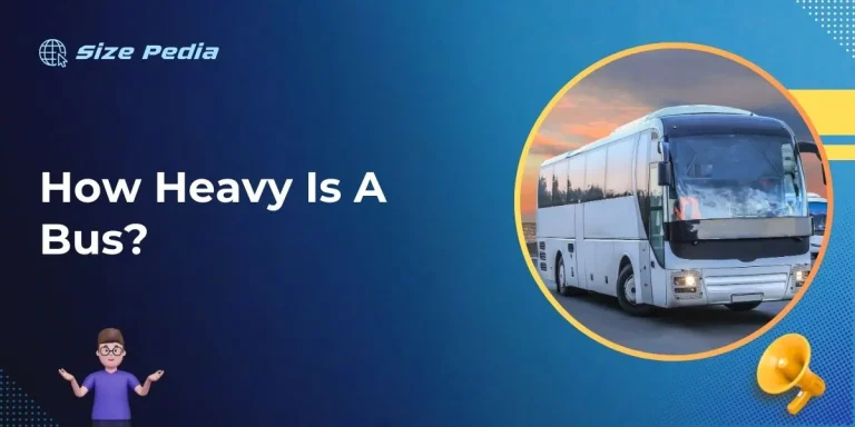 How Heavy is a Bus?