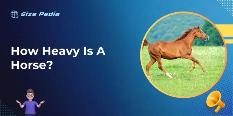 How Heavy is a Horse?