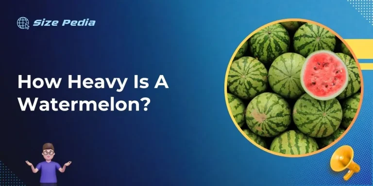 How Heavy is a Watermelon?