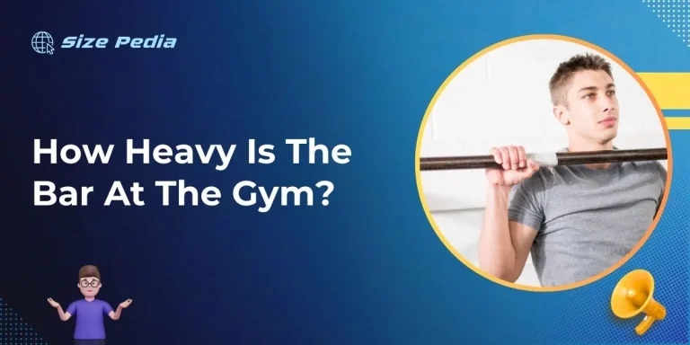 How Heavy is the Bar at the Gym?