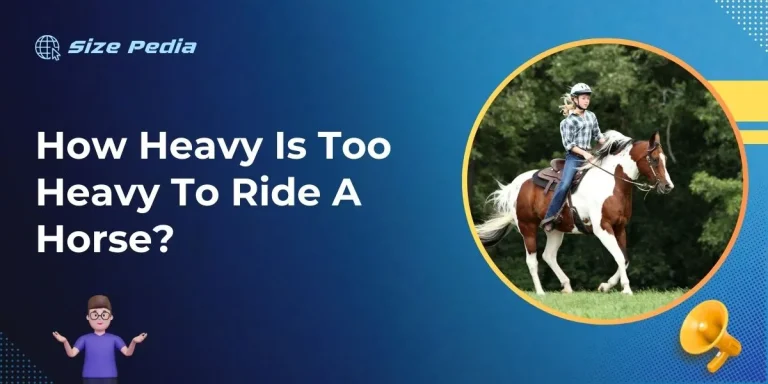 How Heavy is Too Heavy to Ride a Horse?