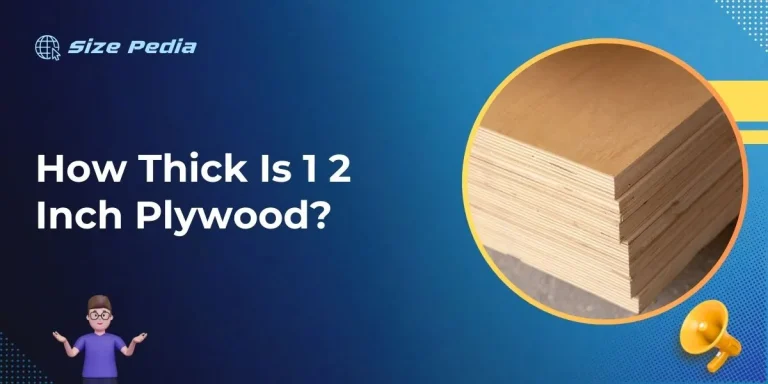 How Thick Is 1 2 Inch Plywood?