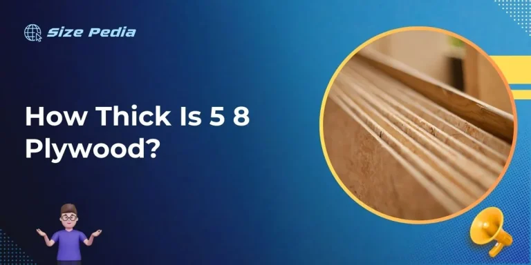 How Thick Is 5 8 Plywood?