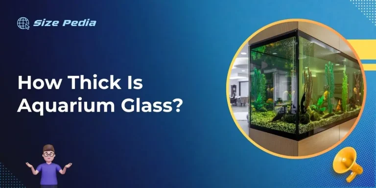 How Thick Is Aquarium Glass?