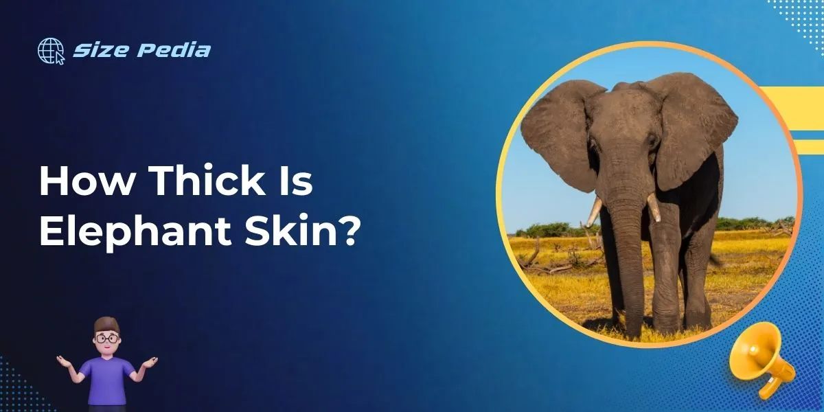 How Thick is Elephant Skin? Unveil the Pachyderm's Armor!