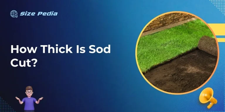 How Thick Is Sod Cut?